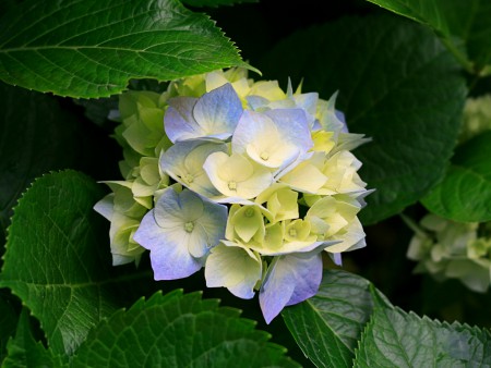 TEST234567